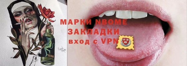 дурь Инта