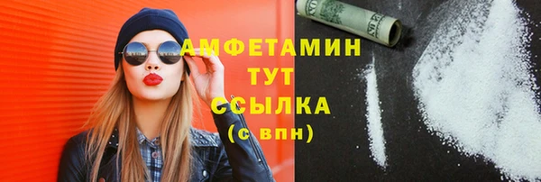 дурь Инта