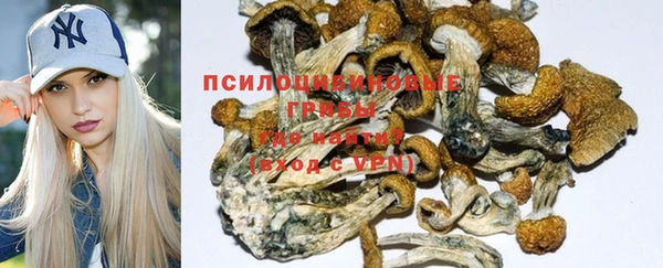 MDMA Инсар