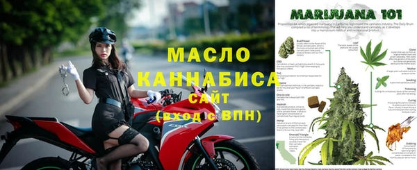дурь Инта