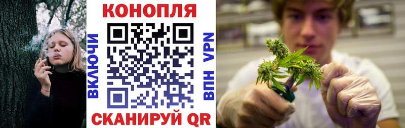 МАРИХУАНА OG Kush  mega ссылка  Онега 